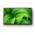 Bravia KD-W800 (2023) von Sony