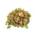 Sphagnum-Moos von sphagnum-shop.com