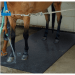 Stallmatte aus Gummi