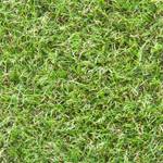Steffensmeier Kunststoffrasen Wimbledon