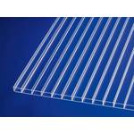 Acrylshop24 Polycarbonat Doppelstegplatte