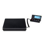 Steinberg Systems SBS-PT-50/2