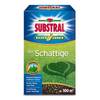 Der Schattige von Substral