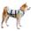 Kühlweste Hund von Suitical