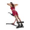 Multifunktionale Roman Chair von Sunny Health & Fitness