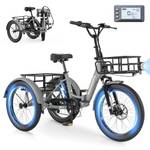 Sunyrisy E Bike Dreirad Tk1