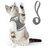 Supet Katzengeschirr