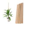 Plant Support Sticks von Suxgumoe
