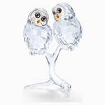 Swarovski 5493722