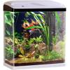 Nano-Aquarium von Sweetypet