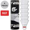 Tech 450 Premium von Talbot Torro