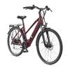 E-Bike Damen Alu 28 Zoll von Telefunken