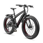 Telefunken-E-Bike