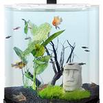 rundes Aquarium