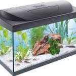 Aquarium