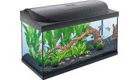 Großes Aquarium