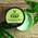 5028197943202 von The Body Shop