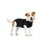 OP-Body Hund