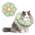 Halskrause Katze von THKOFPET
