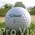 Lakeballs  von Titleist
