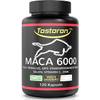 MACA 6000 von Tostoron