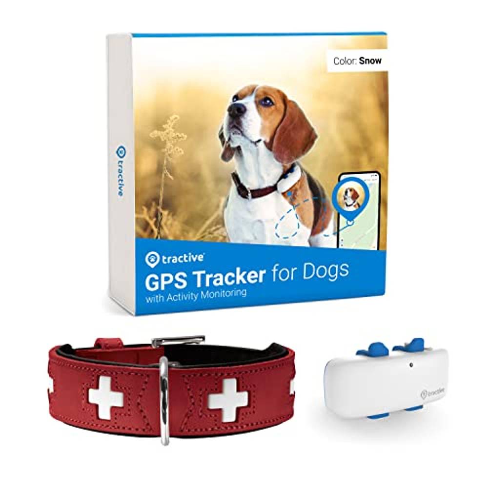 21 beste GPSTrackerHund Test & Vergleich 2023 » 3 Top Produkte!