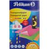 137943 von Pelikan