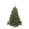 Bristlecone von Triumph tree
