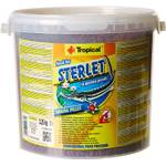 Tropical Sterlet