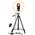 Streaming-Licht von UBeesize