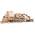 V-Express Dampflokomotive 70058 von UGEARS