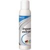 Ingwer Extrakt von Ultra Sports
