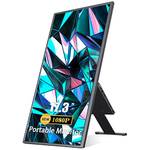 Portable-Monitor 17 Zoll