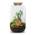 Flaschengarten - Sven Bonsai mit Lampe von urbanjngl
