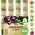 Microgreens Set von valeaf