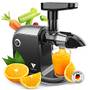Slow Juicer