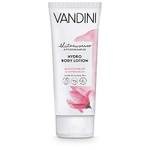 Bodylotion trockene Haut