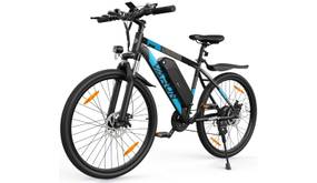 Herren-E-Bike