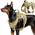 Taktisch Hundegeschirr von VavoPaw