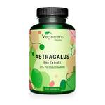 Astragalus
