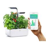 Véritable Indoor-Garten