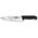 Fibrox 5.2063.20 von Victorinox