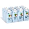 Protein Milkshake Kokosnuss von Vilgain