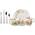 Hungry as a Bear von Villeroy & Boch