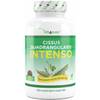 Cissus Quadrangularis Intenso von Vit4ever