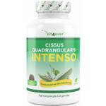 Vit4ever Cissus Quadrangularis Intenso