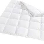 Daunendecke 200 x 220