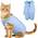 Katzenbody von Voarge