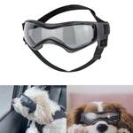 Sonnenbrille Hund