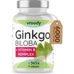 VROODY Vegan Ginkgo Biloba Extrakt 6000mg